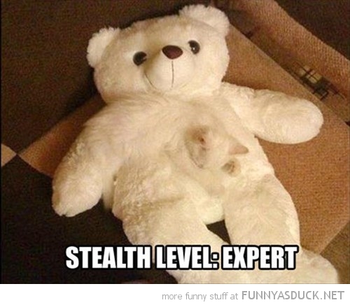 Stealth Expert