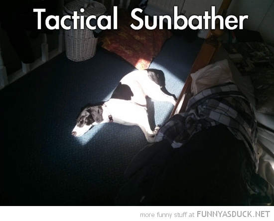 Tactical Sunbather