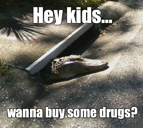 Hey Kids...