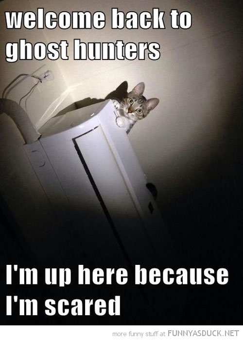 Ghost Hunters