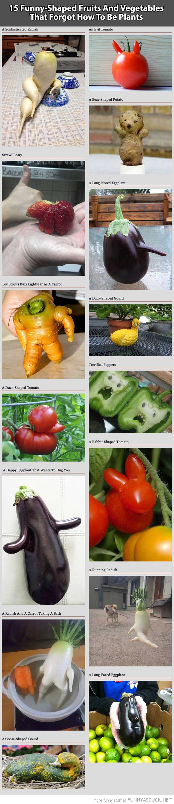 Funny Shaped Fruit &amp; Veg