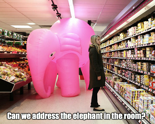 Elephant In The Room