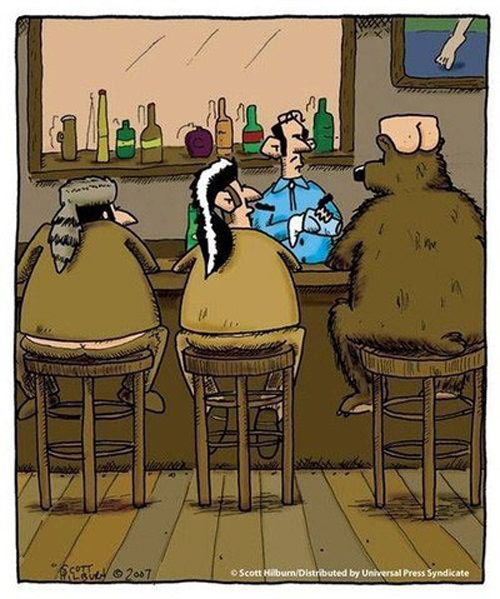 Bear In A Bar