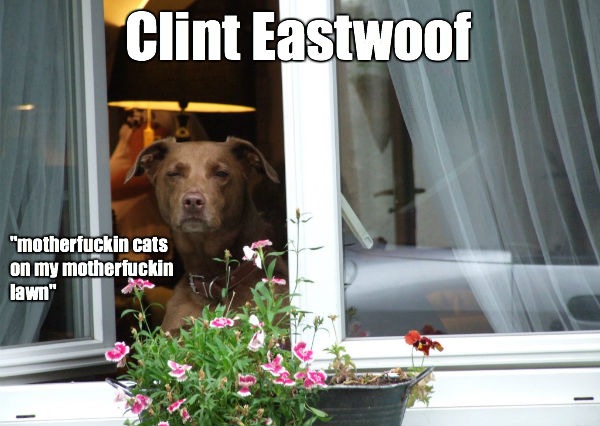 Clint Eastwoof