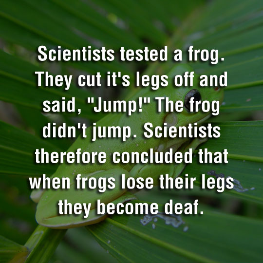 Tested A Frog