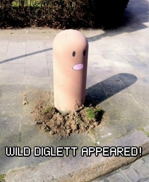 Wild Diglett