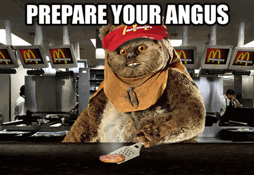 Prepare Your Angus