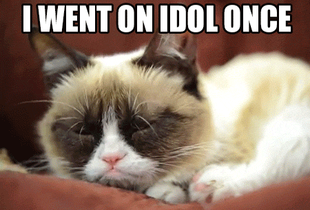 Grumpy Cat On Idol