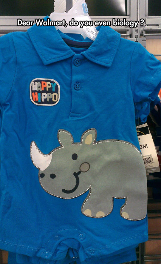 Happy Hippo