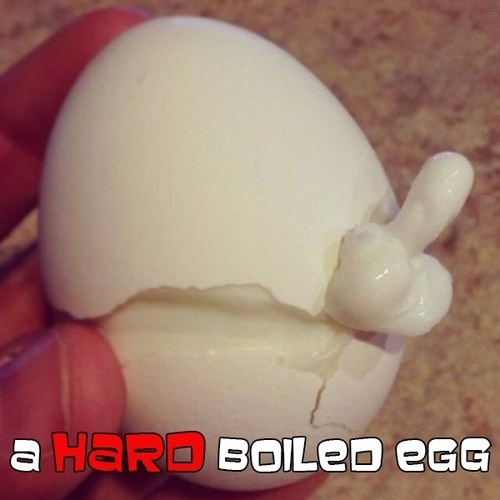 Hard Boiled Egg