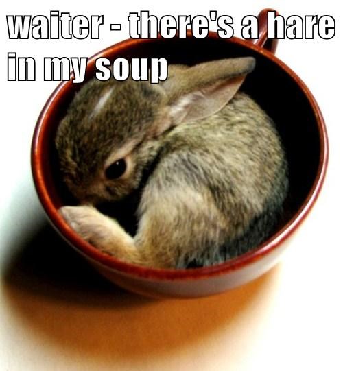 Hare In My Soup