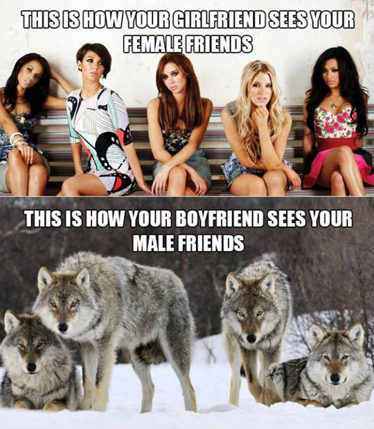 Female Friends