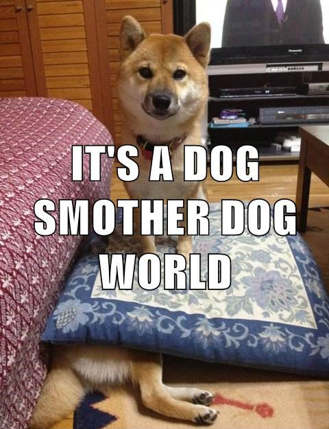Dog Smother Dog