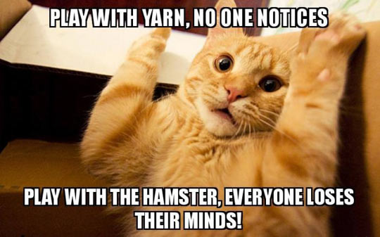 Play With Yarn