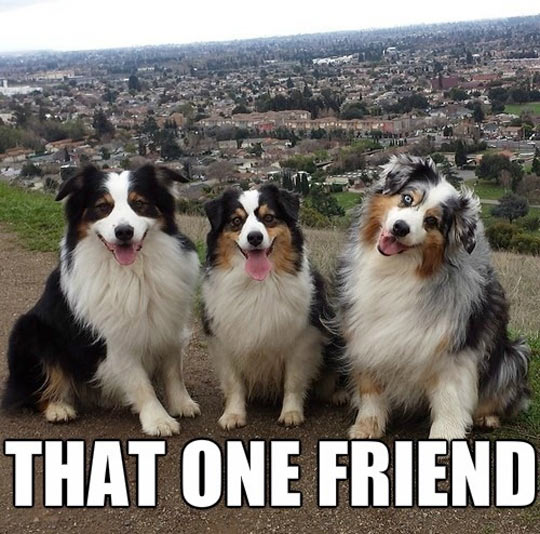 That One Friend