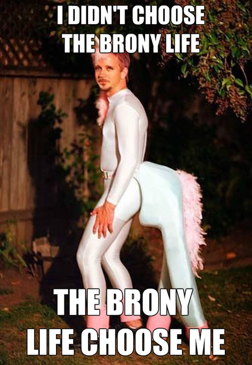 The Brony Life