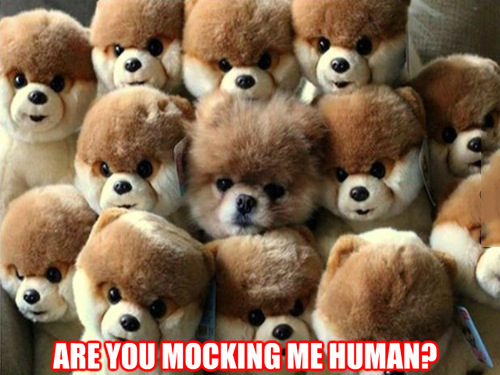 Are You Mocking Me?