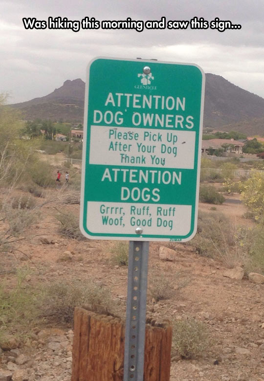 Attention Dogs