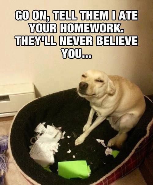 Ate Your Homework