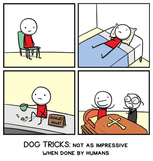 Dog Tricks