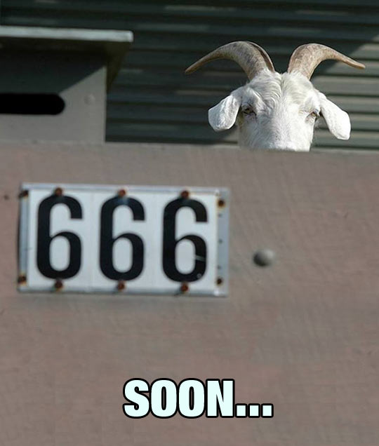 Evil Goat