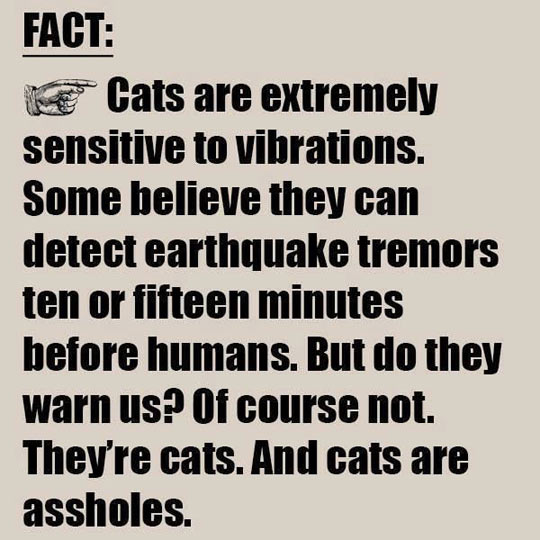 Cat Facts