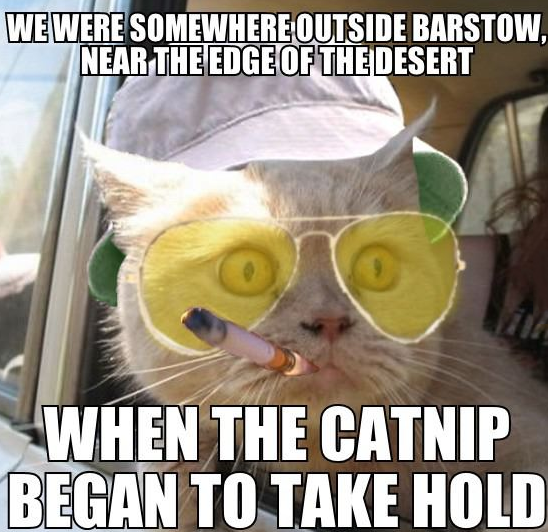 Fear &amp; Loathing Cat