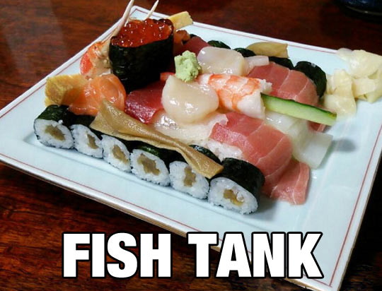 Fish Tank