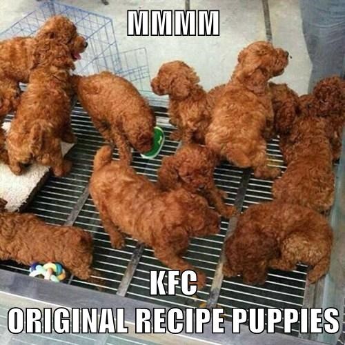 Fried Chicken Pups