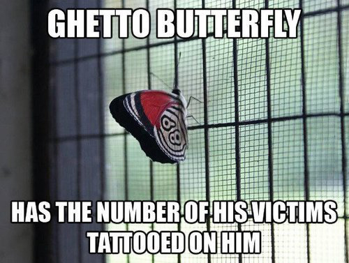 Ghetto Butterfly