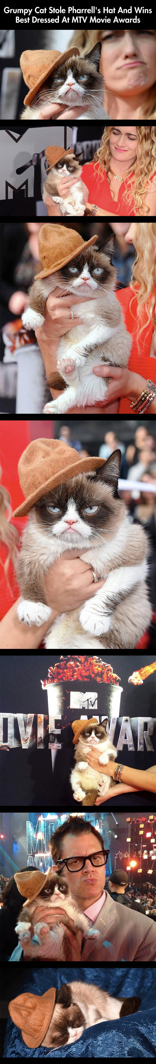 Grumpy Cat At The MTV Awards