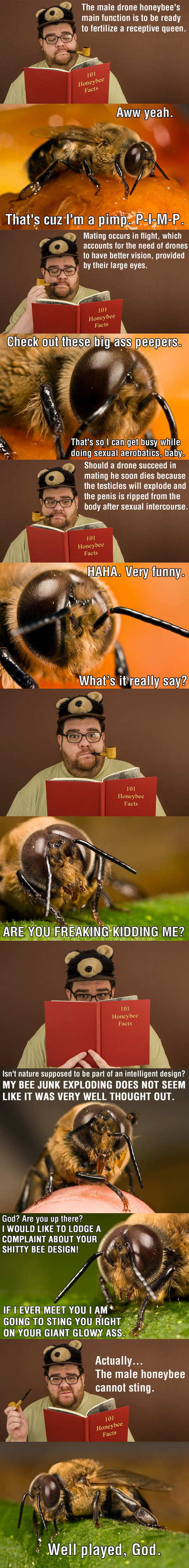Honey Bee Facts