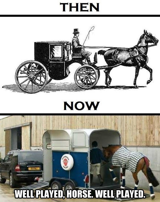 Horses Then &amp; Now