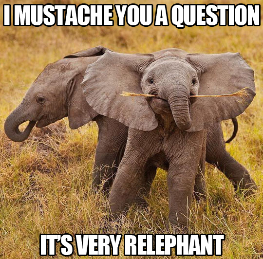 Relephant Question