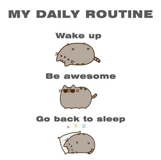 My Daily Routine