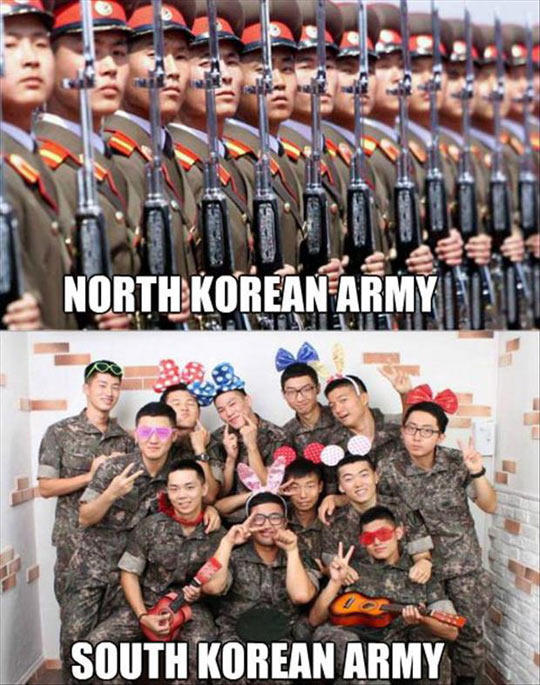 North Vs South