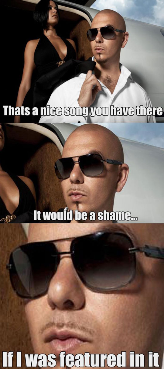 Every Pitbull Song