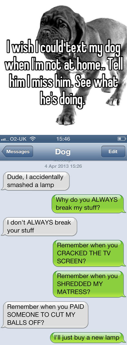 Text My Dog