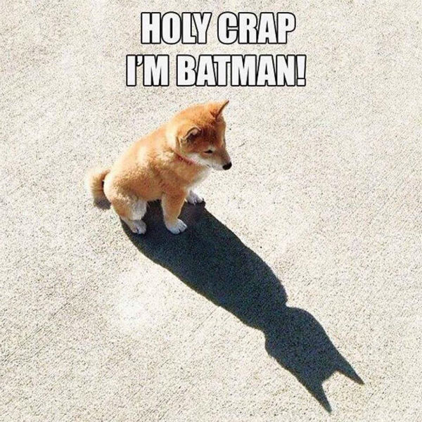 I'm Batman