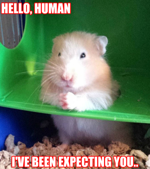 Bond Villain Hamster