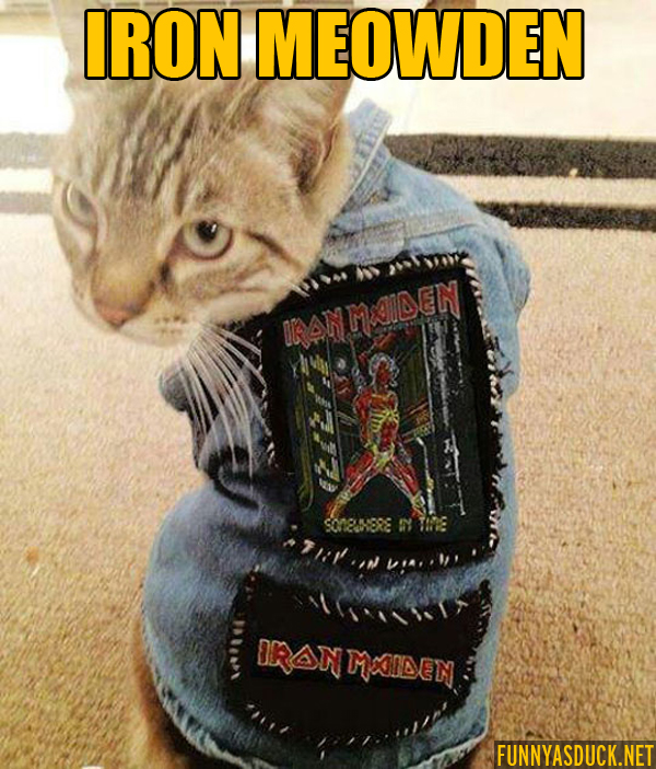 Iron Meowden