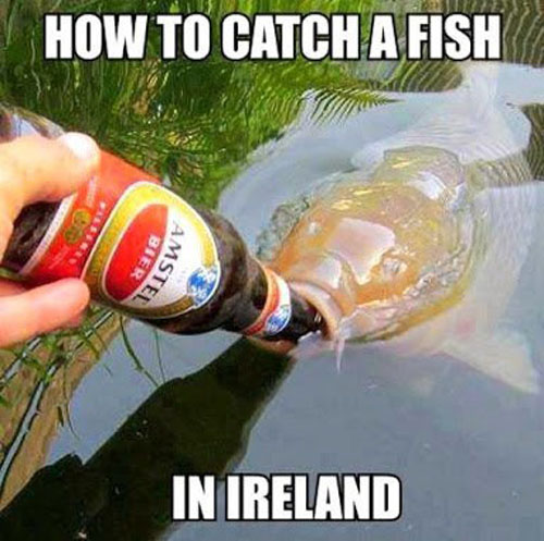 Catch A Fish