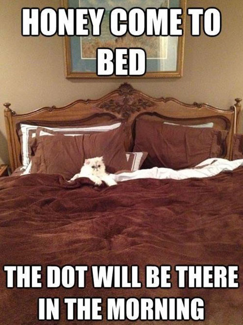 Come To Bed!
