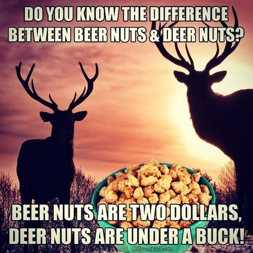 Deer Nuts