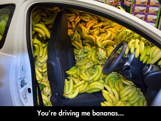 Driving Me Bananas