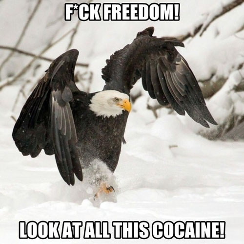 F*ck Freedom
