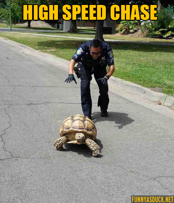 High Speed Chase