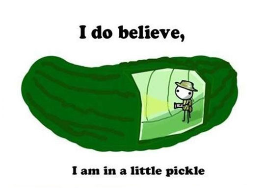 A Little Pickle