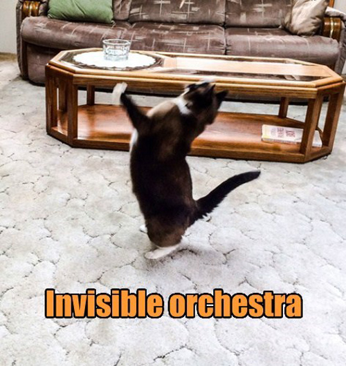 Invisible Orchestra