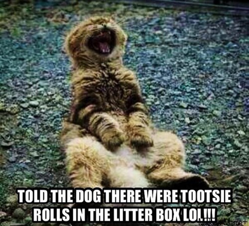 Tootsie Rolls